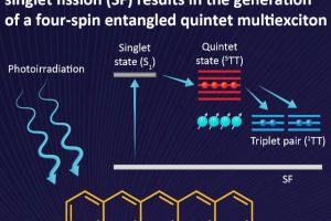 KyushuU quantum chromophores energy