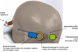 Leti CorticalSight NESD DARPA