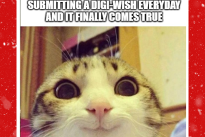 DigiWish4-300x200.png